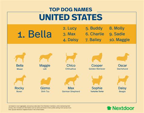 The top-trending pet names in America, according to a new study